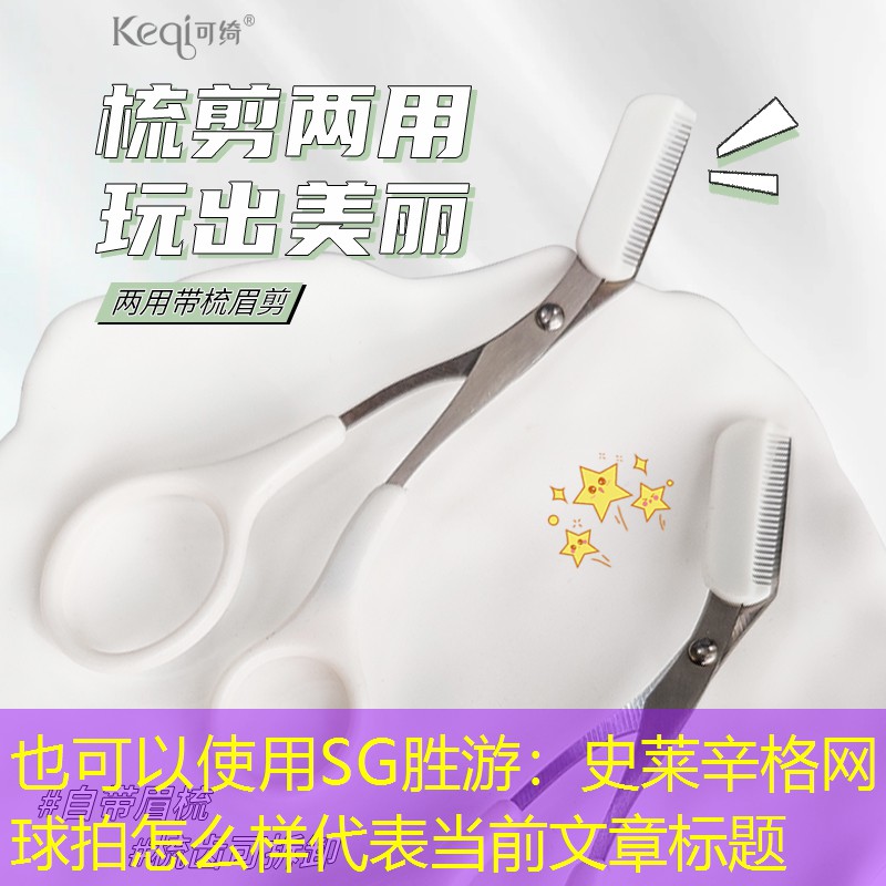 史萊辛格網(wǎng)球拍怎么樣